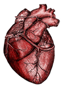 Nero